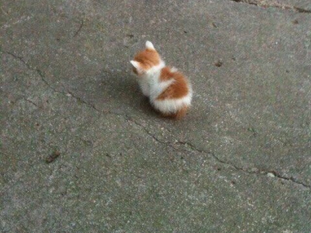 Passear