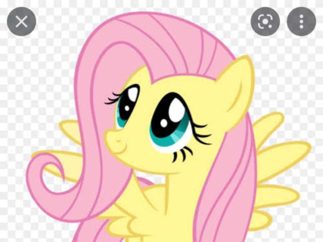 Flutter shy