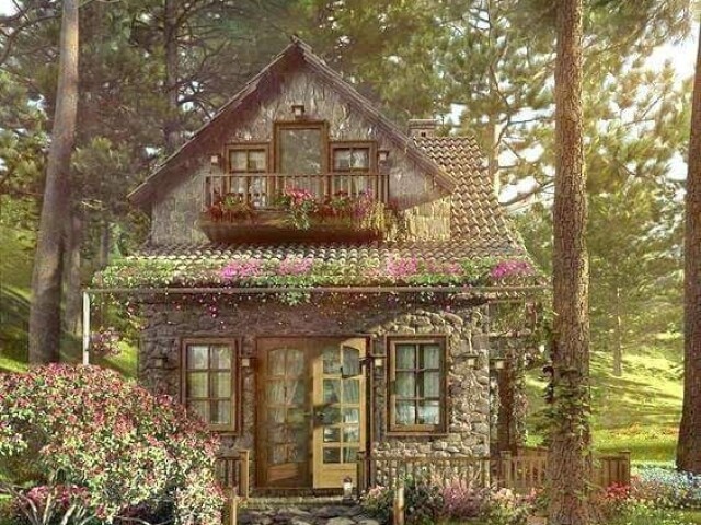 Casa aesthetc🍄