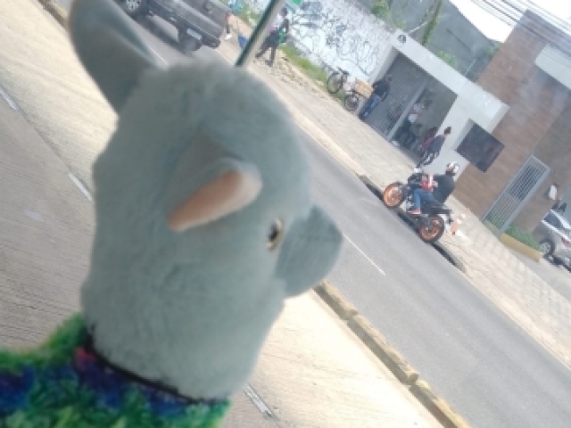 Isabelly esperando o BRT