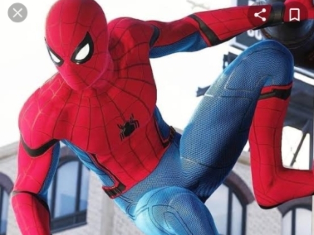 Homem-aranha