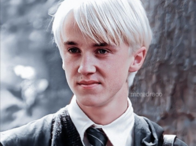 Draco Molfoy