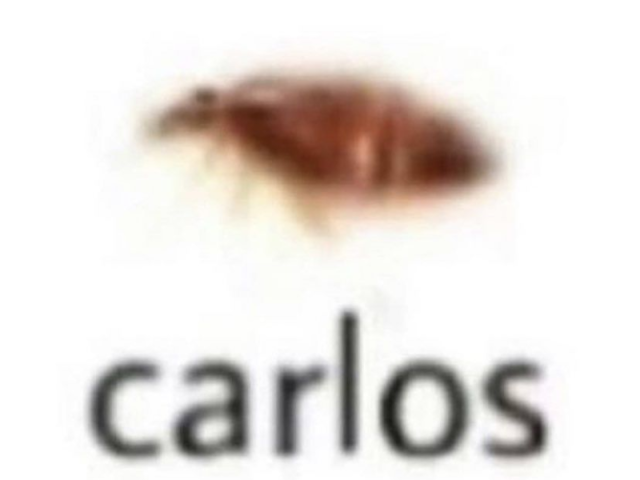 carlos