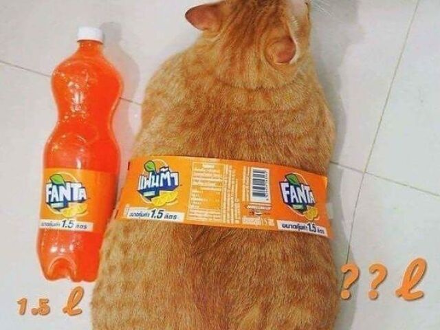 fanta