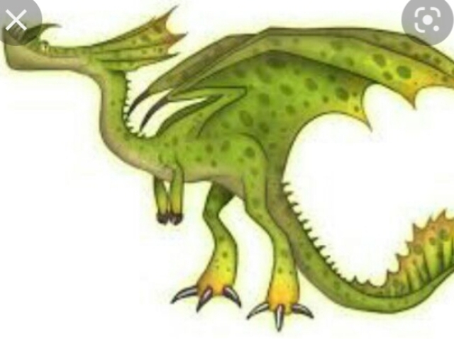 Roncador
