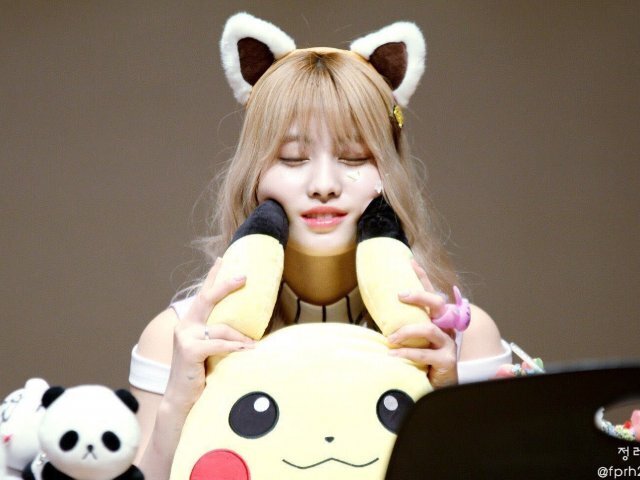 🦝Provão da Momo🦝