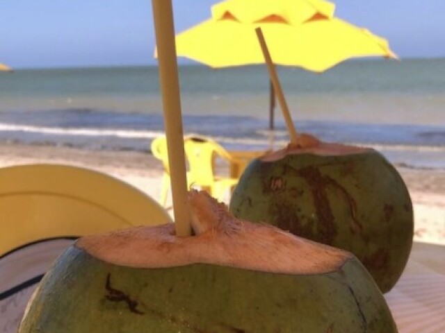 Água de coco 🥥