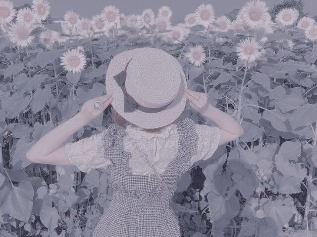 ๐ธ๐๐ธ๐๐๐ฝ๐พ ๐ฐ๐ ๐๐๐๐พ๐๐