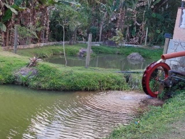 Pinhão, Melancia, Laranja.