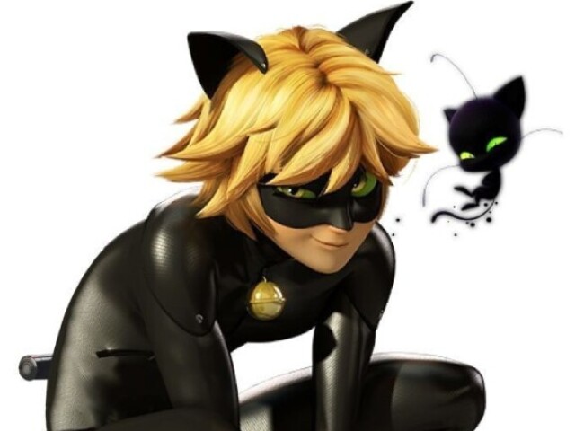 Chat noir