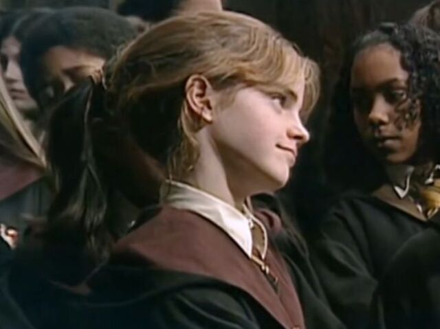 Você sabe tudo sobre a Hermione?