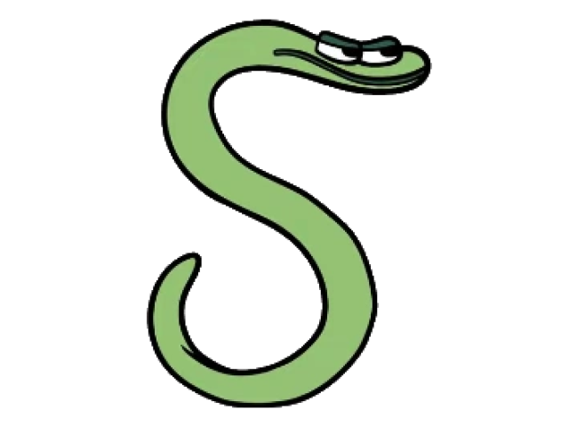 S