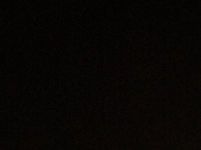 Não fugiria de casa