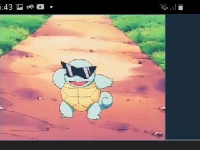 Squitle
O pokemon tartaruga de agua