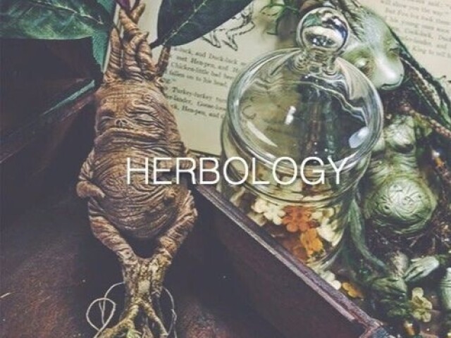 Herbologia. Sempre tive talentos com plantas.