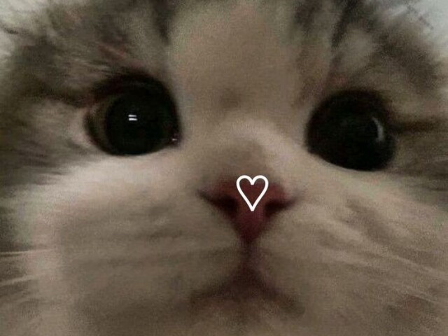 Eu mesma porque sou maravilhosa ππ