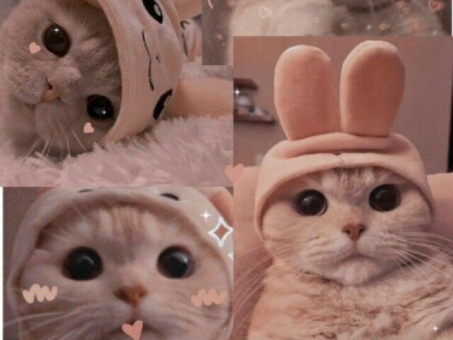 - Material Kawaii -