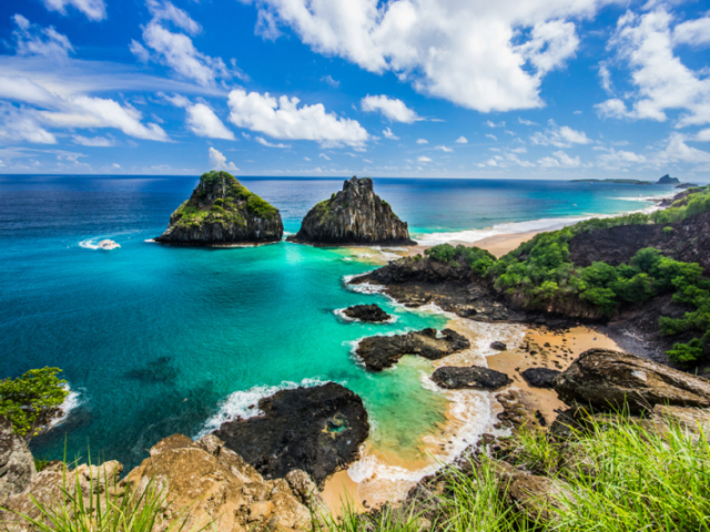 Não há cobras em Fernando de Noronha