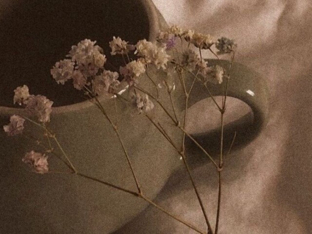 Tumblr❤️