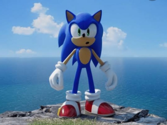 Conhece tudo sobre o Sonic?