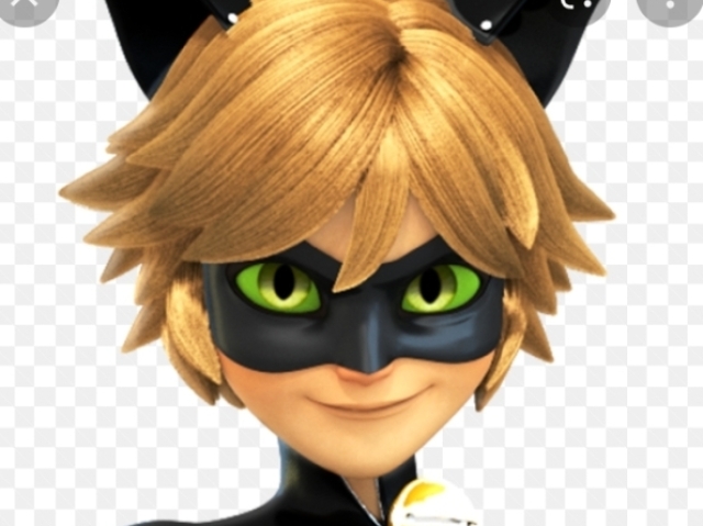 Cat noir