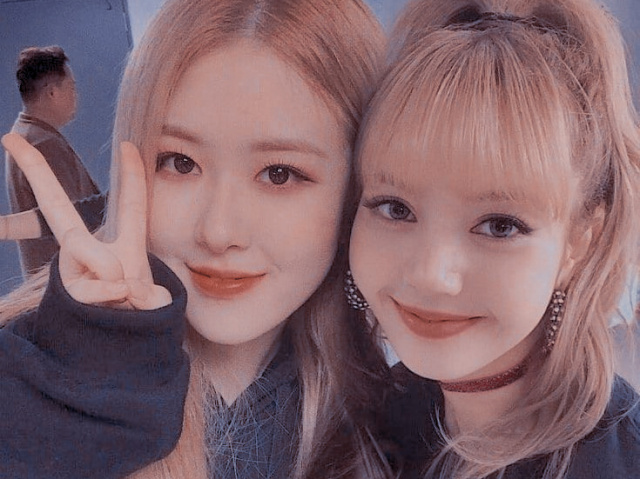 🌱° ༘♡ 𝑅𝑜𝑠𝑒 ou 𝐿𝑖𝑠𝑎: Crie seu dia na escola e descubra quem seria sua best ⋆。˚ 🌱