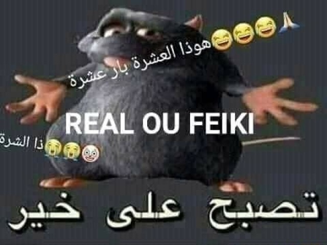 Real ou feiki