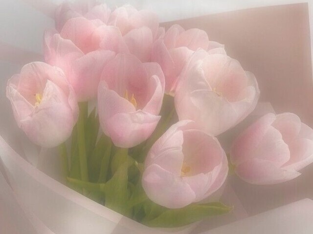 Soft