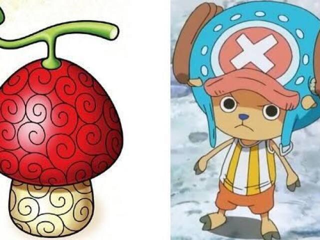 Hito hito no mi