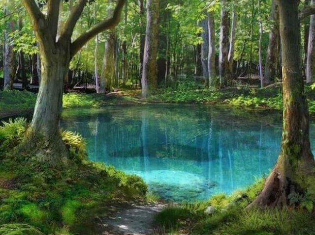 Qualquer lugar que eu possa me conectar com a natureza