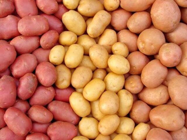 Qual Batata VocĂȘ Seria?