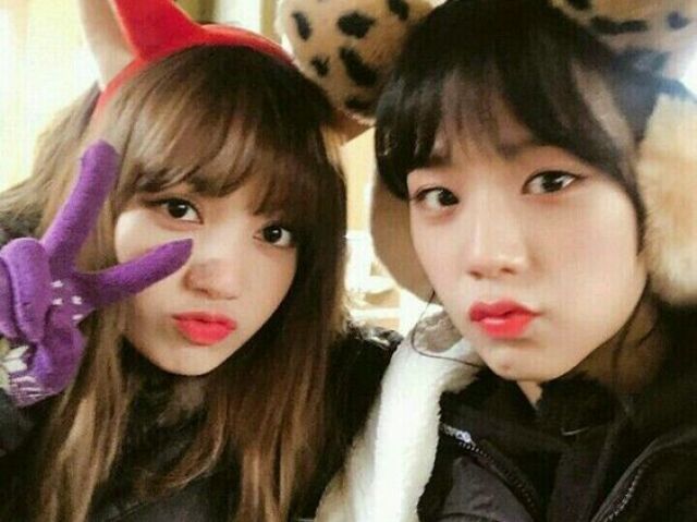 lisoo (lisa e jisoo)