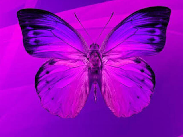 Roxo