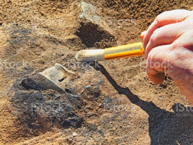 Arqueologia.