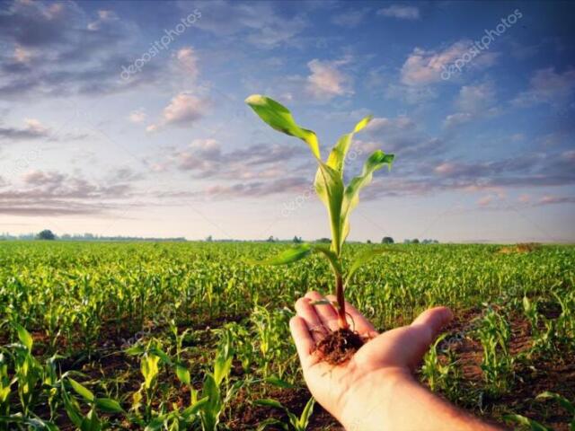 Agronomia.