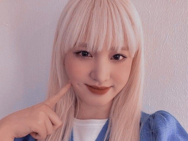 ┏ 🐇 Irmã 🐇┛