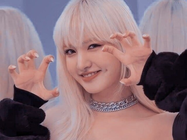 ┏ 🐇Prima 🐇┛
