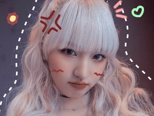 ┏ 🐇Amiga 🐇┛