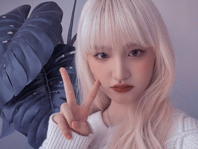 ┏ 🐇 Conhecidas 🐇┛