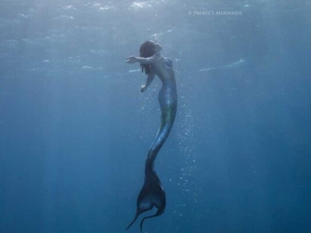 Sereia bondosa🧜♀️