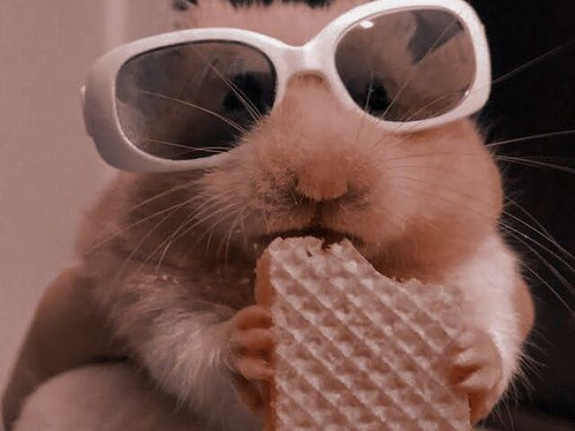 Sorveteria soft