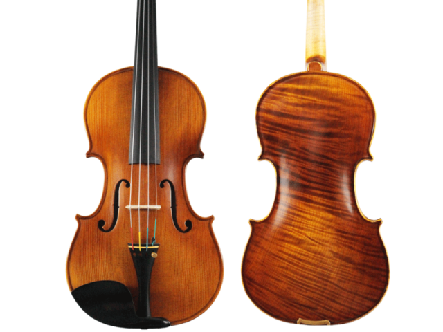 Violino