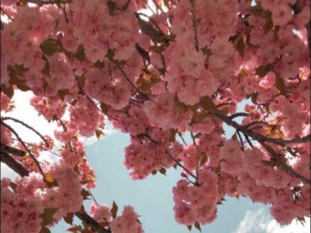 Monte seu dia perfeito🌷