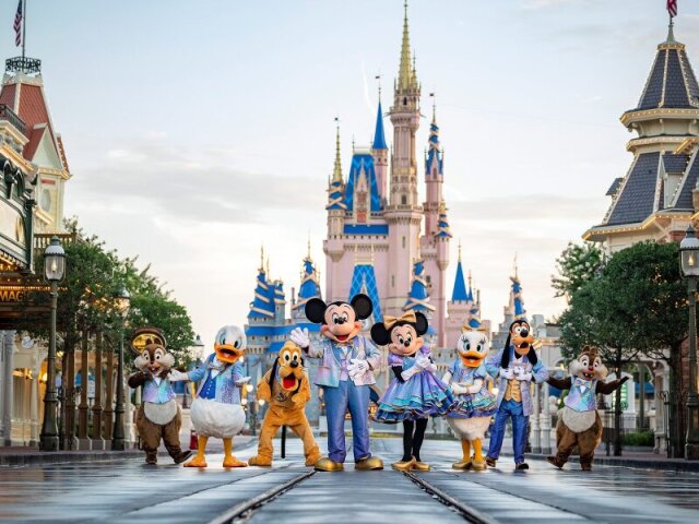Qual animação da Disney define sua vida?