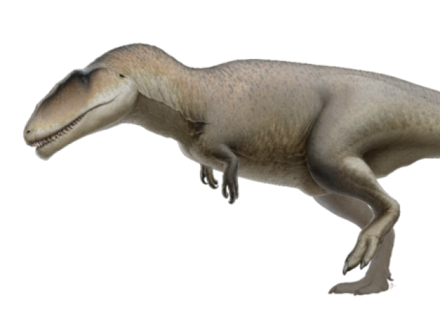 Carcharontossauro