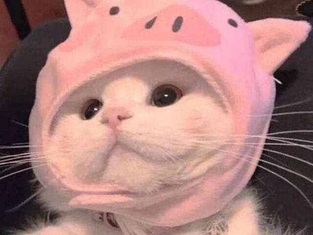 ๐Esse๐