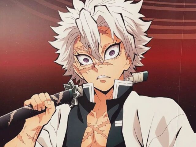 Você conhece mesmo Sanemi Shinazugawa 🍃?