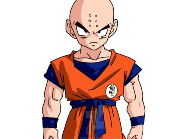 Você seria o kuririn