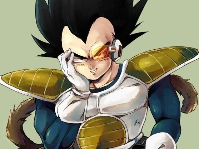 Você seria o Vegeta