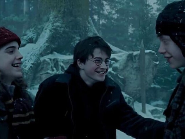 Qual seria sua casa em Hogwarts?